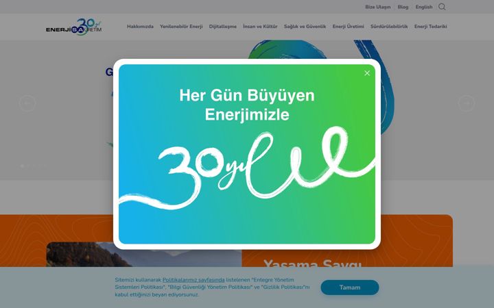 Screenshot of enerjisauretim.com