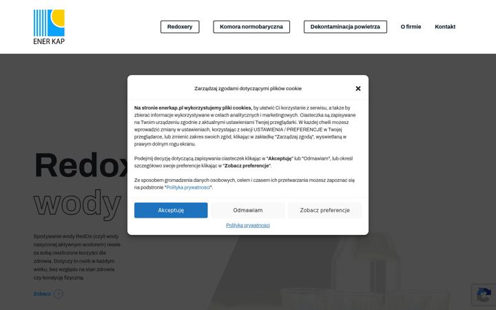 Kuvakaappaus sivustosta enerkap.pl