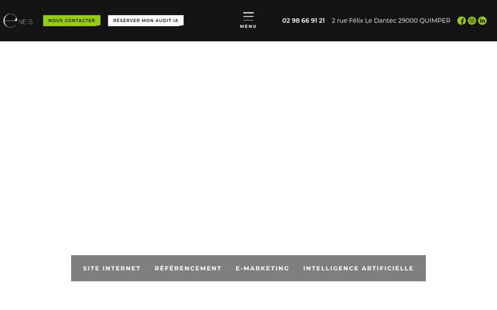 Screenshot of eness.fr