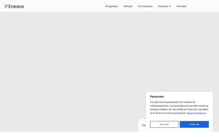 Screenshot di enestor.no