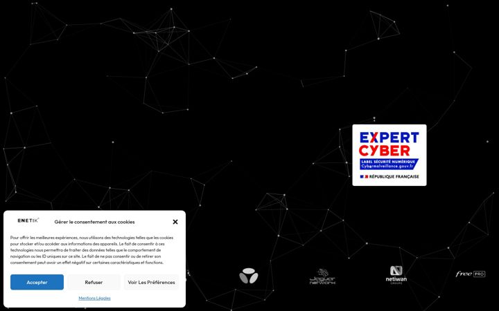 Screenshot of enetik.fr