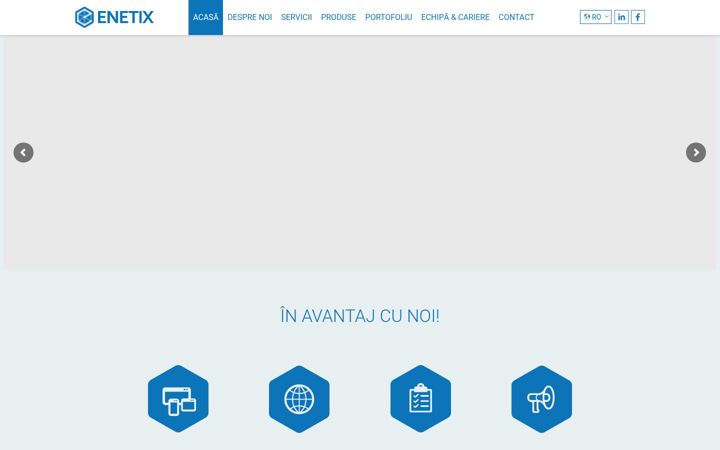 Captura de pantalla de enetixsoftware.ro