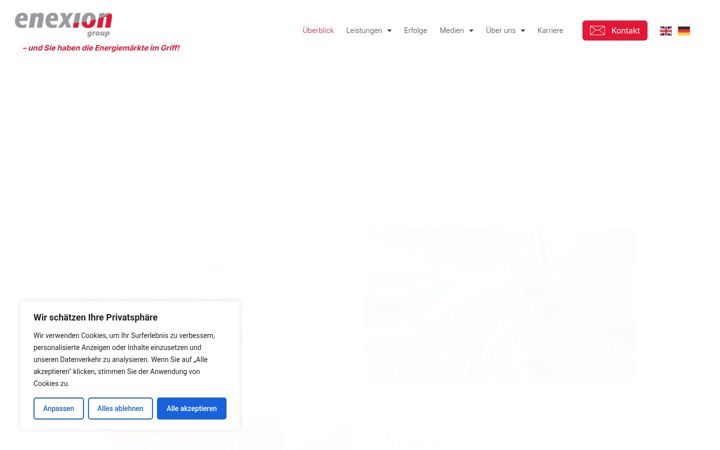 Screenshot di enexion.net