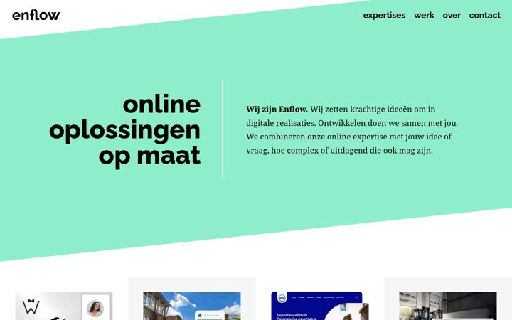 Posnetek zaslona enflow.nl