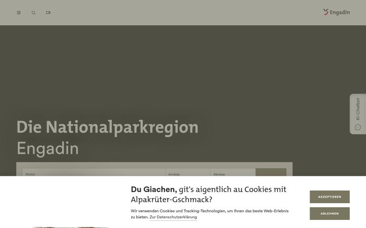 Zrzut ekranu engadin.com