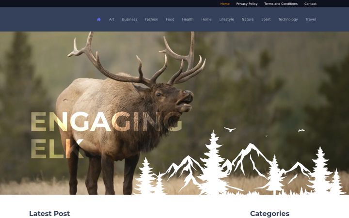 Screenshot of engagingelk.co.uk