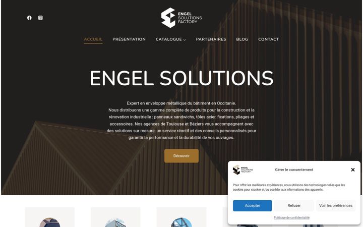 Screenshot of engel-solutions.com