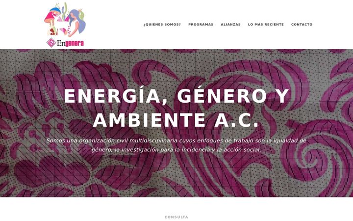 Screenshot stránky engenera.org