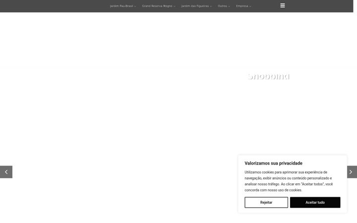 Screenshot stránky engenharq.com.br