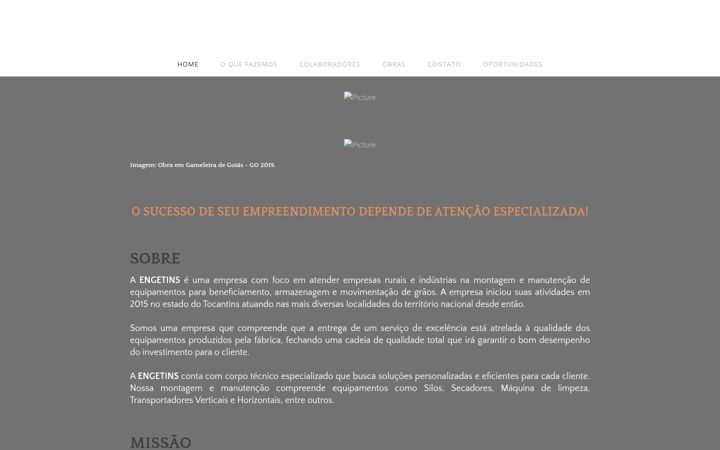 Screenshot of engetins.com.br