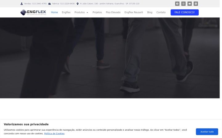 Screenshot von engflex.com.br
