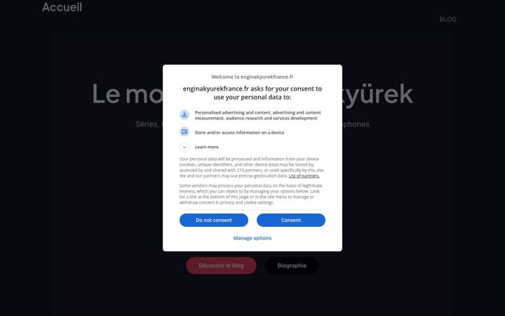 Screenshot of enginakyurekfrance.fr