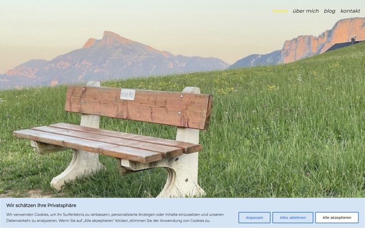 Screenshot von enginalkan.at