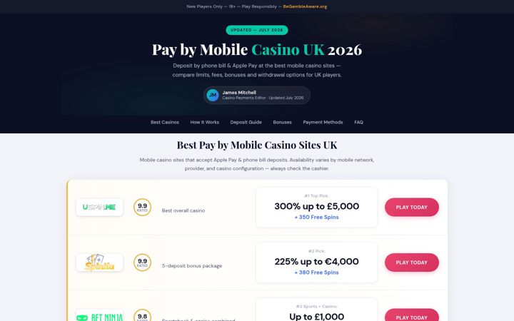 Screenshot of engineeringimpact.co.uk