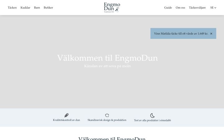 Screenshot von engmo.se