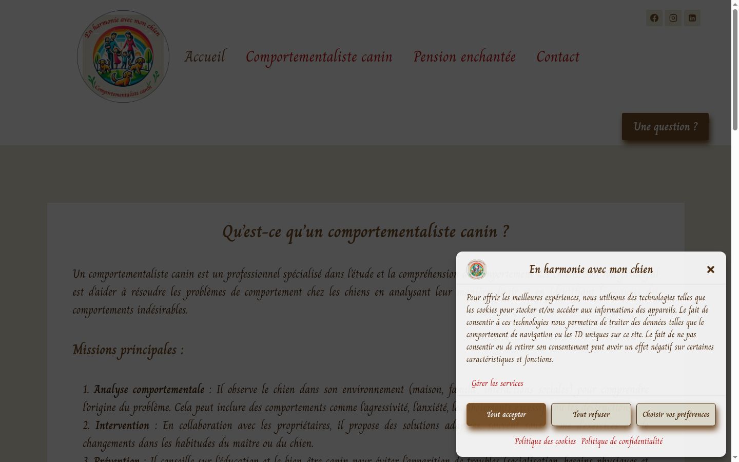Screenshot of the consent banner shown before any interaction