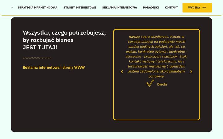 Snímek obrazovky enjoyads.pl