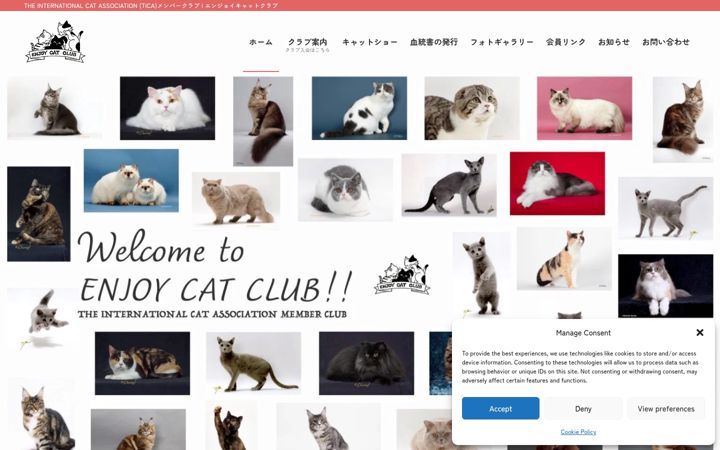 Ekraanipilt saidist enjoycatclub.jp
