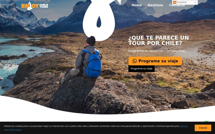 Screenshot of enjoychiletours.com