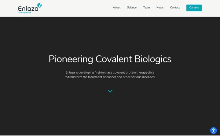 Screenshot of enlazatx.com