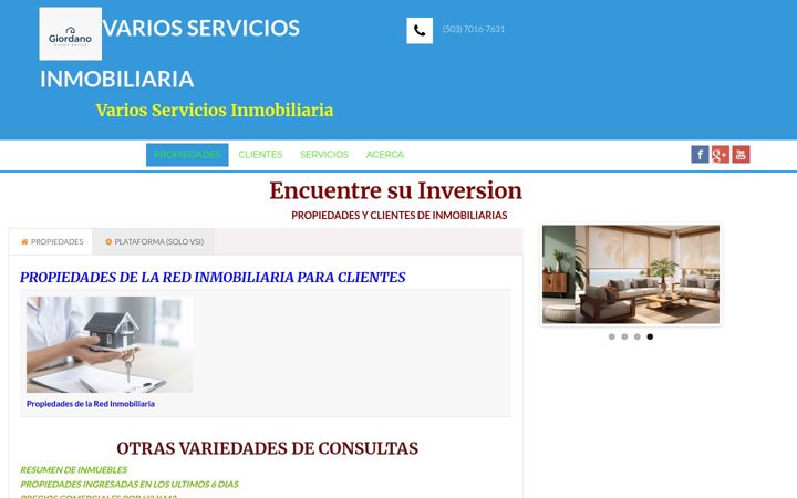 Screenshot of enlineavsi.com