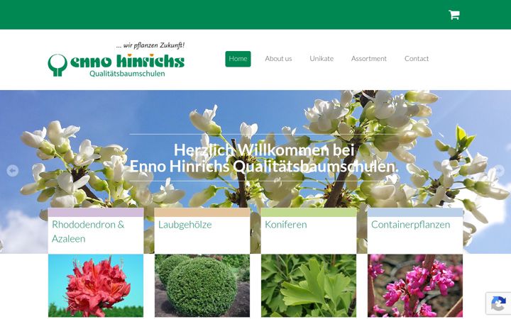 Screenshot of ennohinrichs.de