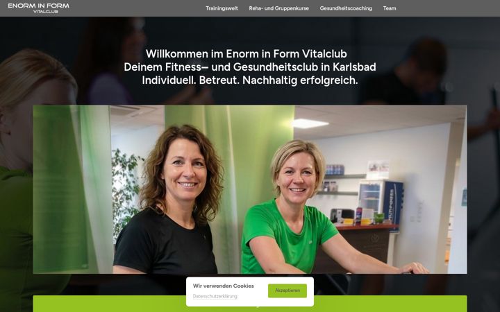Screenshot of enorminform.de