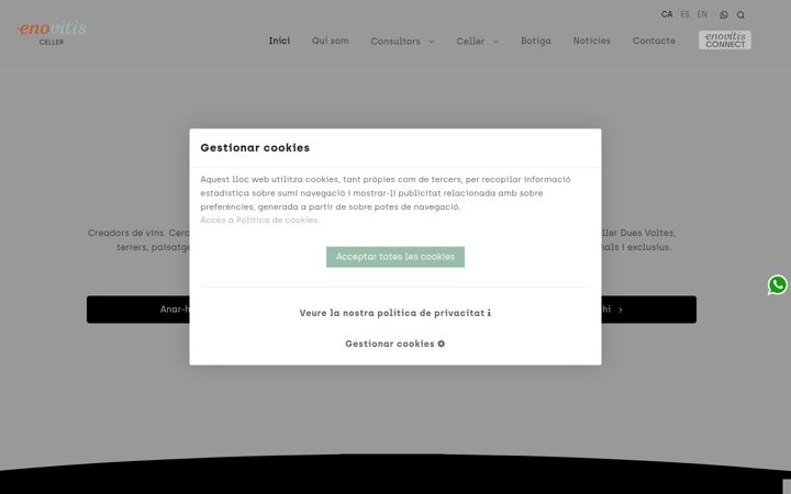 Screenshot of enovitis.cat