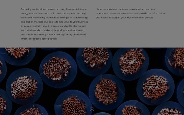 Screenshot of enquidity.com