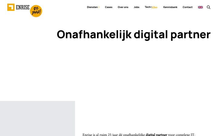 Screenshot of enrise.com