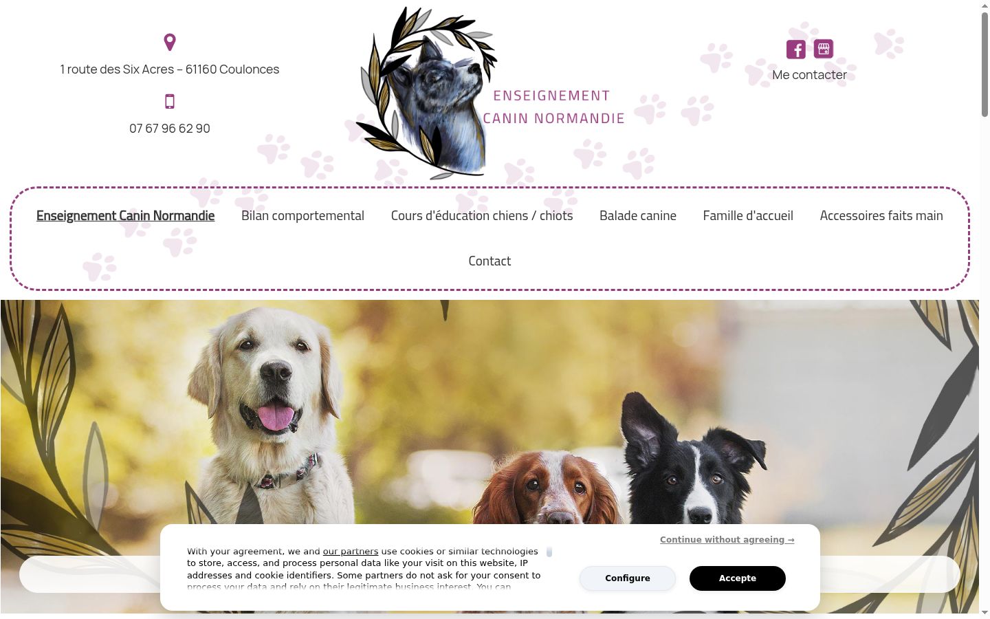 Screenshot of the consent banner shown before any interaction