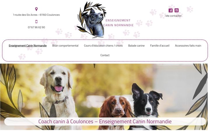 Screenshot of enseignement-canin-normandie.fr