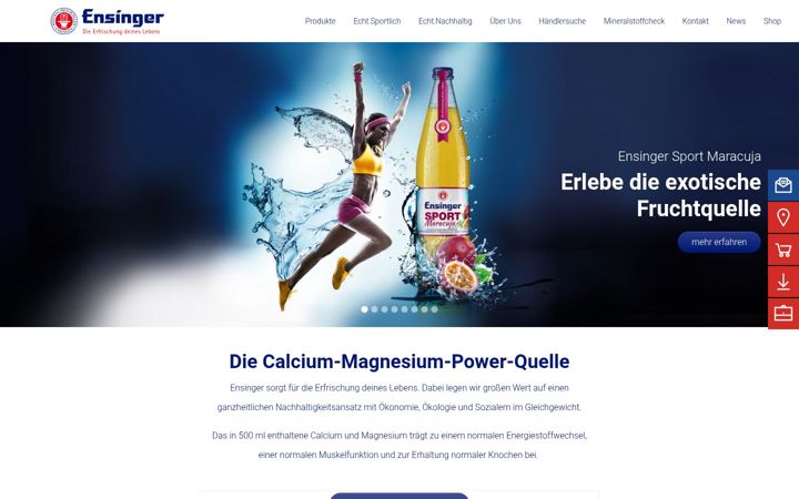 Captura de pantalla de ensinger.de
