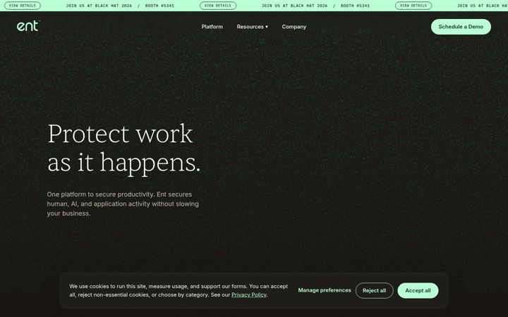 Screenshot of ent.ai