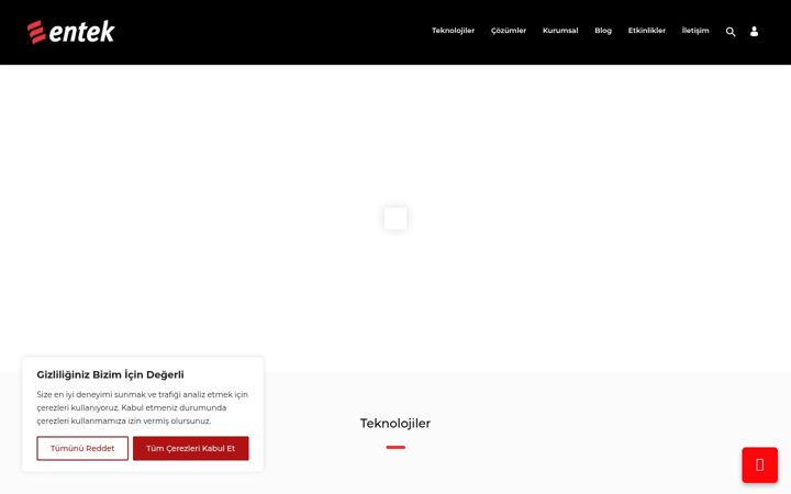 Screenshot of entek.com.tr