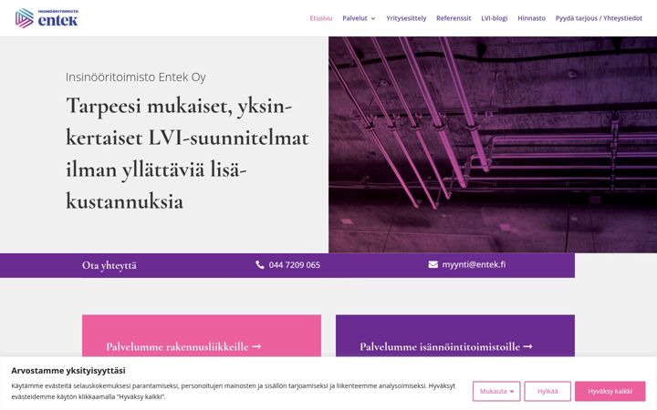 Captura de pantalla de entek.fi