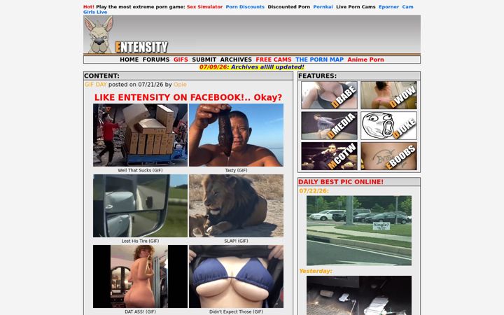 Screenshot of entensity.net