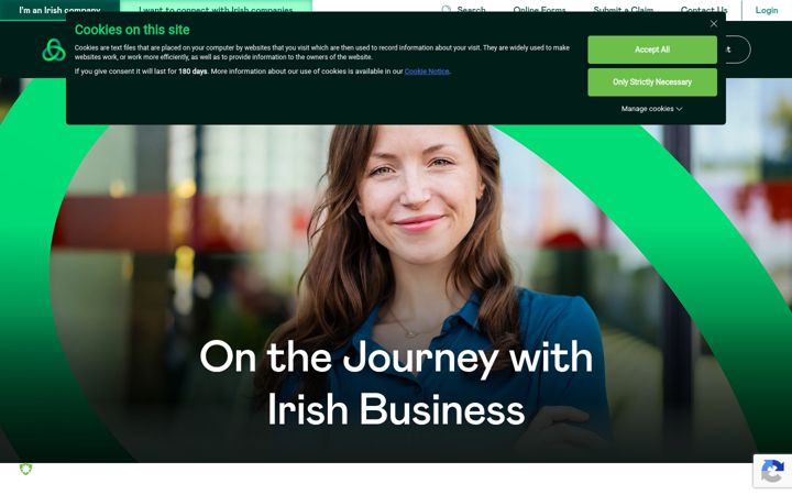 Screenshot of enterprise-ireland.com