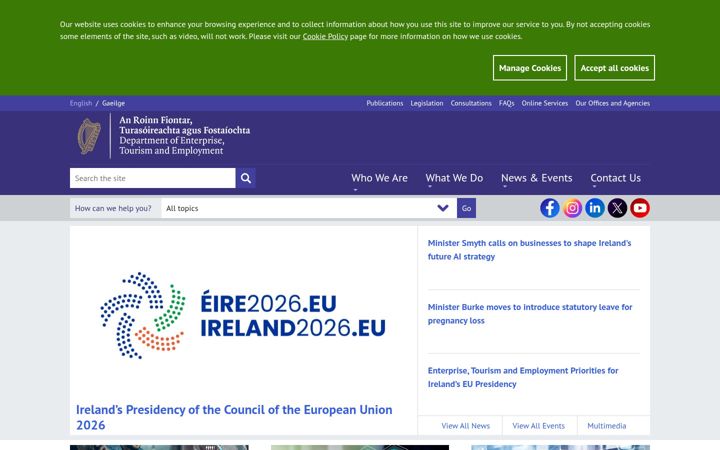Screenshot of enterprise.gov.ie