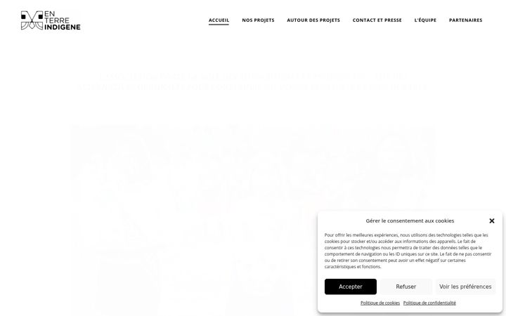Screenshot of enterreindigene.com