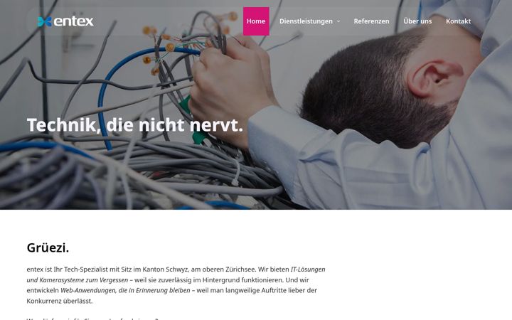 Screenshot of entex.ch