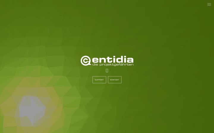 Screenshot of entidia.de