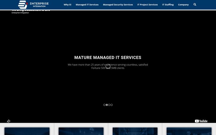 Screenshot of entint.com