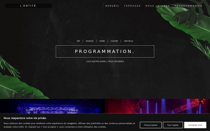 Screenshot of entitetr.com