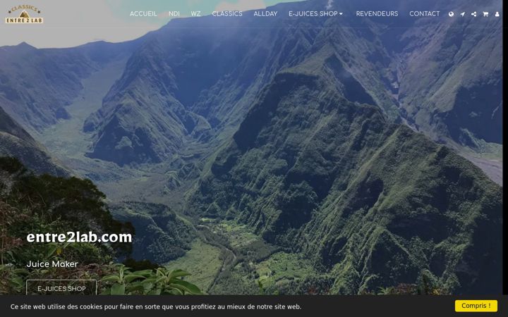 Screenshot of entre2lab.com