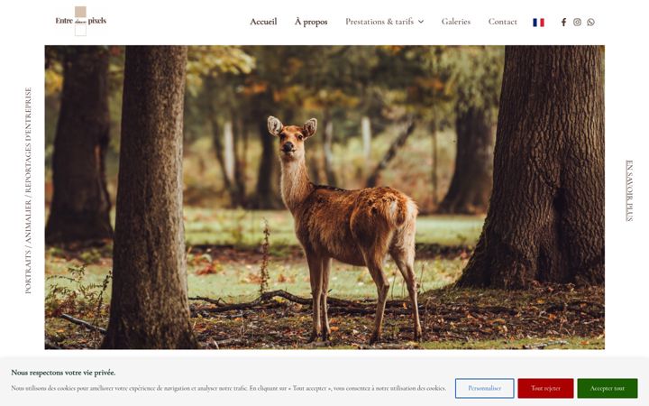 Screenshot ta' entredeuxpixels.fr