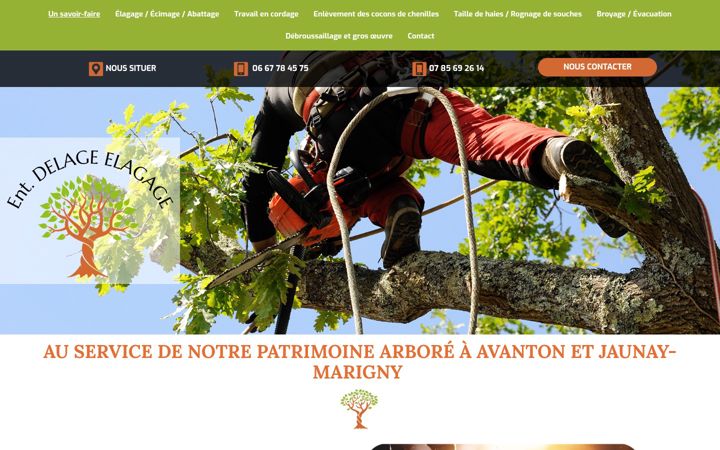 Screenshot di entreprise-delage-elagage86.fr