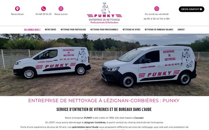Snímek obrazovky entreprisedenettoyagepunky.fr