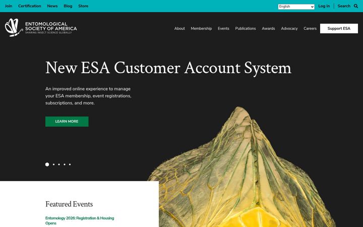 Screenshot of entsoc.org