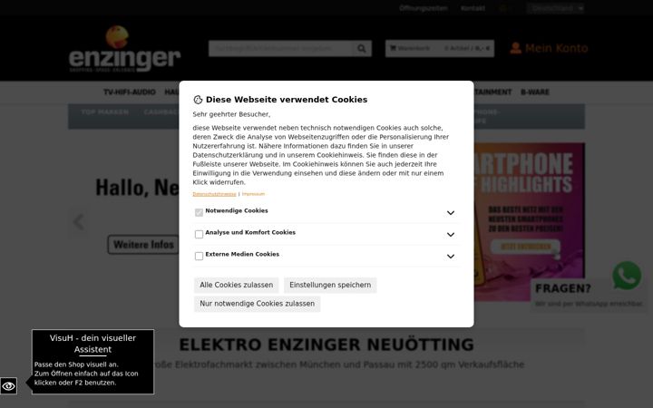 Screenshot of enzinger.com